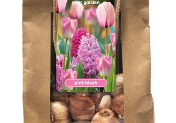 Sīpolpuķu maisījums Pink Blush