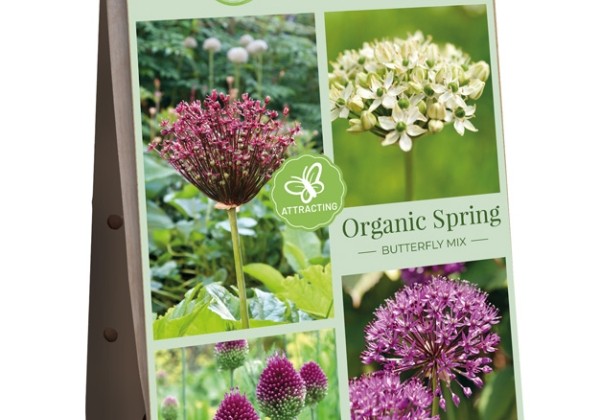 Sīpolpuķu maisījums Organic Spring -  Butterfly Mix