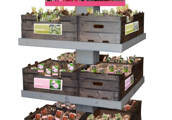 Sīpolpuķu maisījums Stends (brīvi sīpoli kastēs ar etiķetēm)