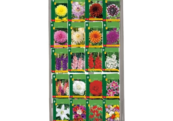 Sīpolpuķu maisījums Low budget (stends + 240 pakas)