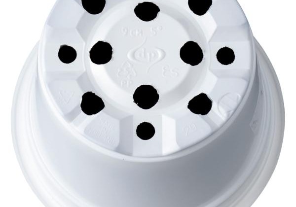Puķu pods 9 cm, balts