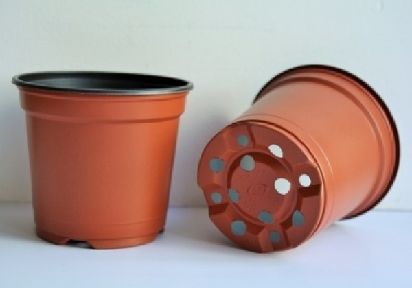 Puķu pods 9 cm H, brūns