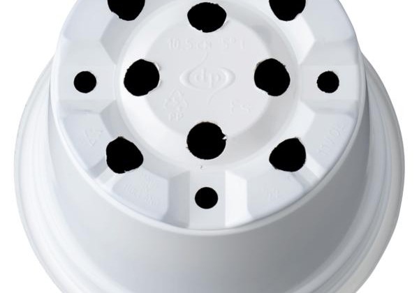 Puķu pods 10,5 cm L, balts