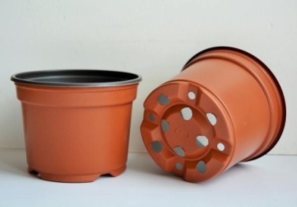 Puķu pods 10,5 cm L, brūns
