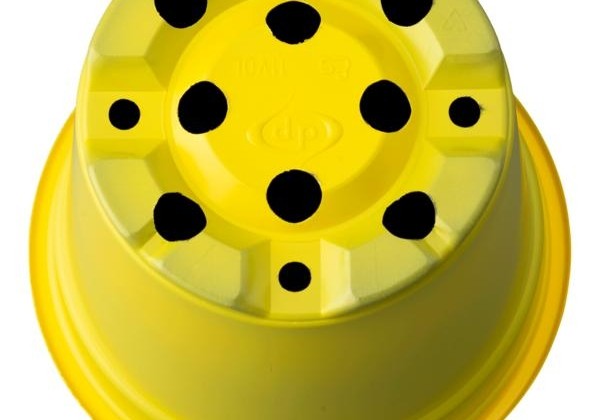 Puķu pods 10,5 cm (vol 11) dzeltens