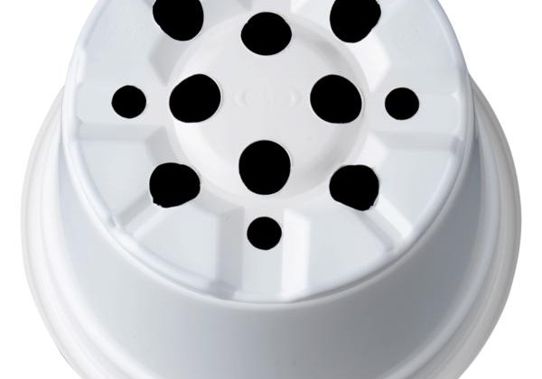 Puķu pods 12 cm L, balts