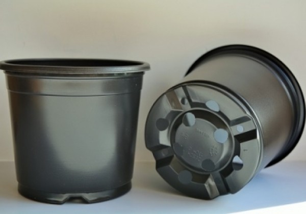 Puķu pods 13 cm L, balts