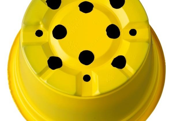 Puķu pods 13 cm L, dzeltens