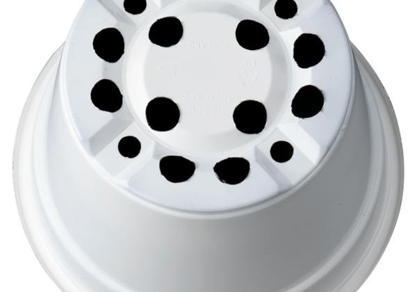 Puķu pods 14 cm L, balts
