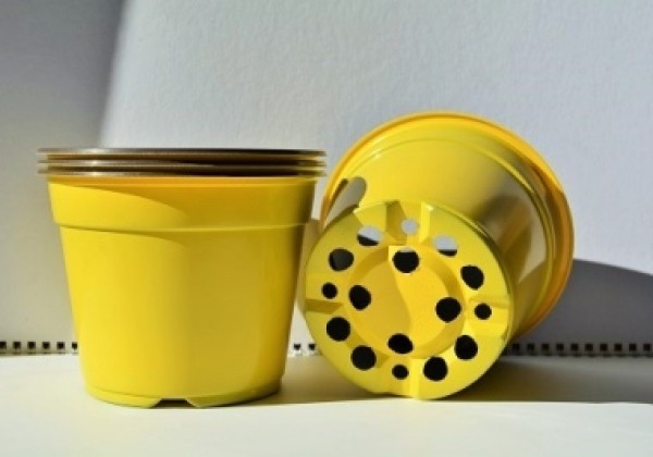 Puķu pods 14 cm L, dzeltens