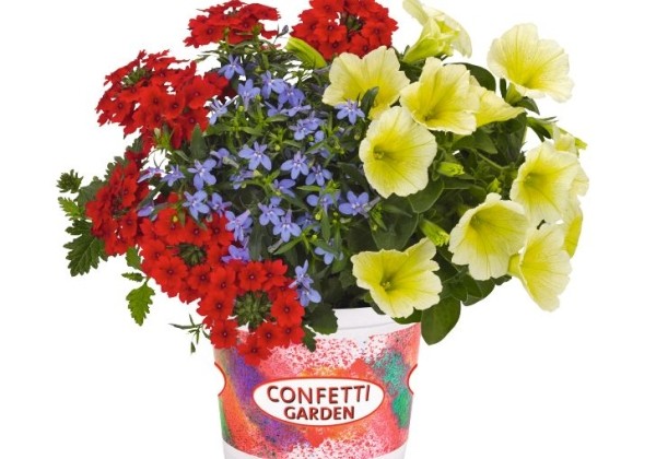 Puķu maisījums Confetti Garden Water Colours 2025