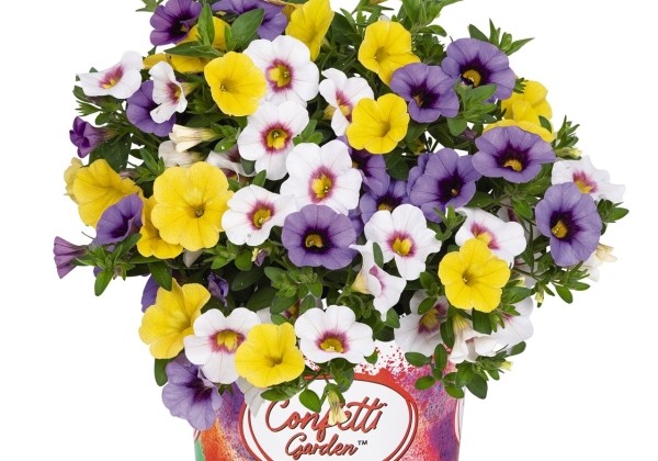 Puķu maisījums Confetti Garden Mahalo