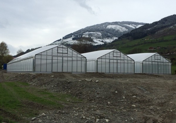 Dubultplēves termo siltumnīca 400 m2 ar montāžu