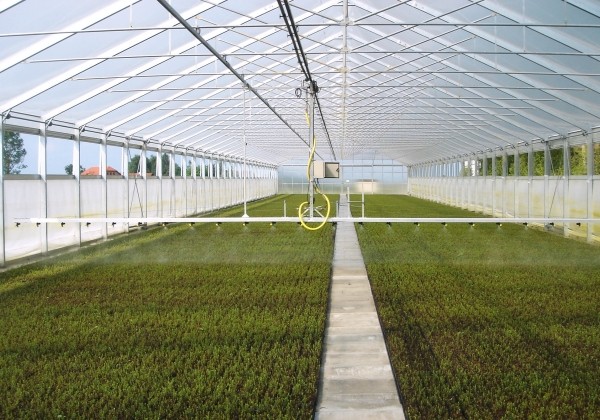 Dubultplēves termo siltumnīca 500 m2 ar montāžu