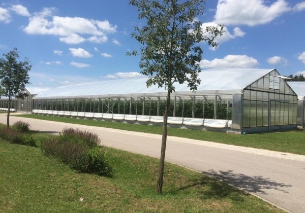 Dubultplēves termo siltumnīca 600 m2 ar montāžu