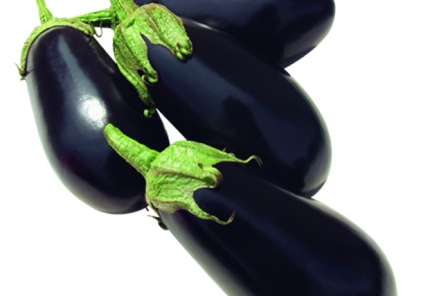 Aubergine (Eggplant) Elisa