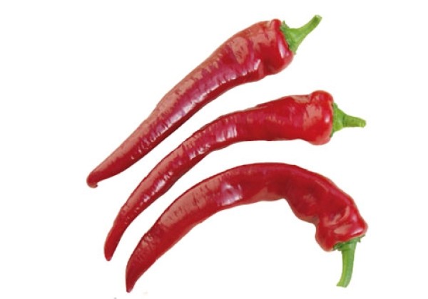 Chili  Hyper
