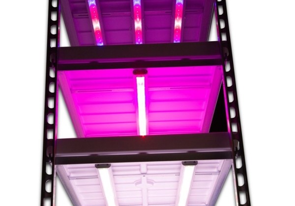 CC plaukts ar LED apgaismojumu