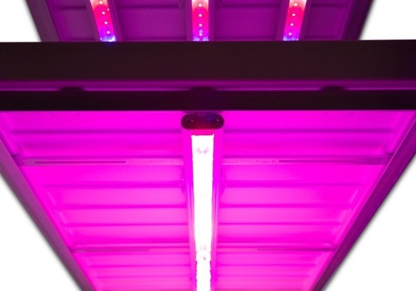 CC plaukts ar LED apgaismojumu