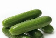 Cucumis sativus Minero (Mini Stars)
