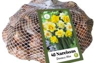 Narcissus, pildītiem z. Double Mix (tīkliņā) 10/12