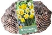 Narcissus, pildītiem z. Double Mix (tīkliņā) 10/12