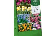 Sīpolpuķu maisījums Bulb Garden Mix