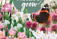 Sīpolpuķu maisījums Help Nature Grow - Pink Friends