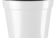 Puķu pods 14 cm L, balts