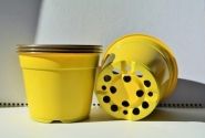 Puķu pods 14 cm L, dzeltens