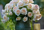Rosa Marzipan