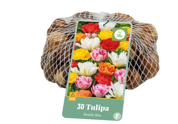 Tulipa Double Mix (tīkliņā) 11/12