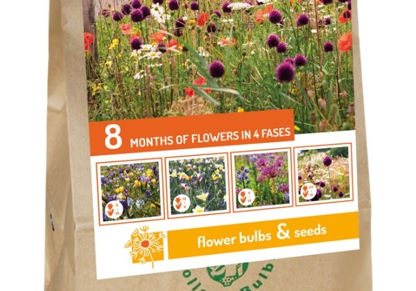 Sīpolpuķu maisījums Vibrant Verge