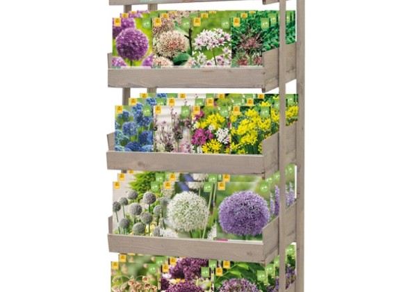 Sīpolpuķu maisījums Stends - Allium (21 x 5)