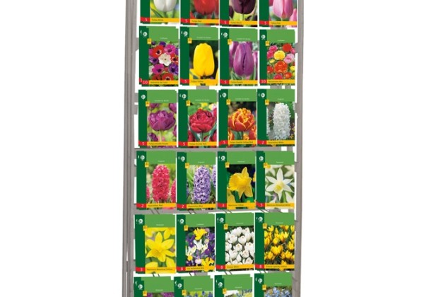 Sīpolpuķu maisījums Stends - Budget (24 x 10)