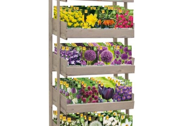 Sīpolpuķu maisījums Stends - Bestsellers (24 x 5)