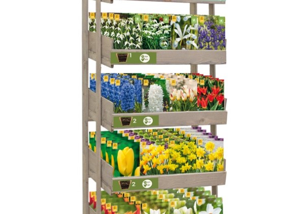 Sīpolpuķu maisījums Stends - Lasagne Planting (24 x 5)